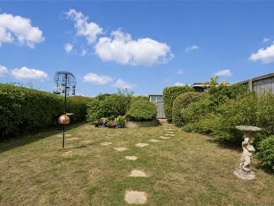 Picture 7